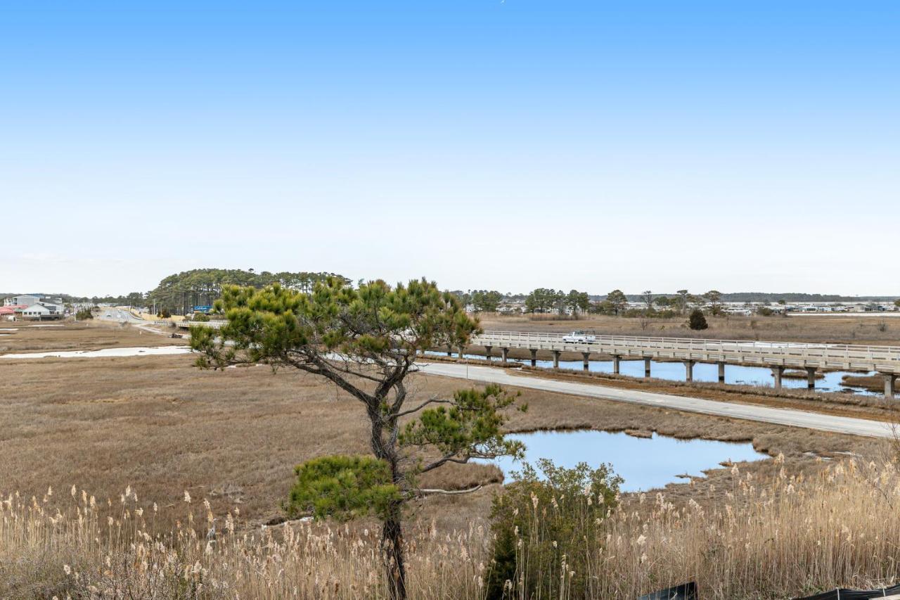 Selbyville Verandah Bay --- 38900 Verandah Bay Driveヴィラ エクステリア 写真