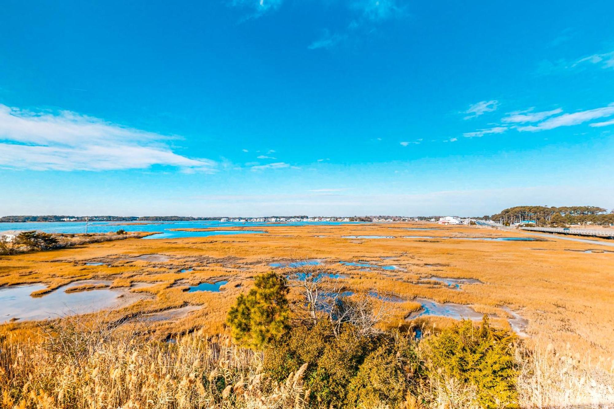 Selbyville Verandah Bay --- 38900 Verandah Bay Driveヴィラ エクステリア 写真